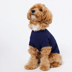 PET ハーフスリーブTシャツ[日本製]