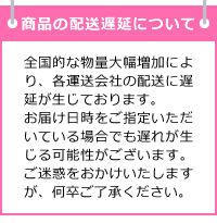 配送遅延について