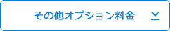 その他オプション料金