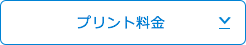 プリント料金